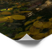 Albany Covered Bridge, NH Print (Hoek)