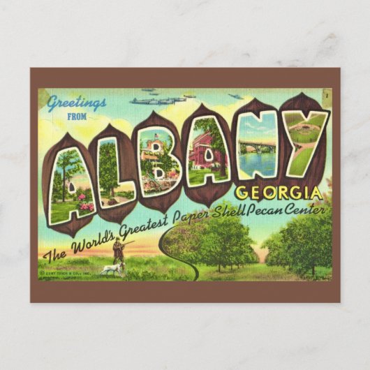 Albany Georgia Vintage Postcard Briefkaart (Voorkant)