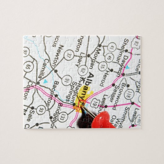 Albany, New York Legpuzzel (Horizontaal)