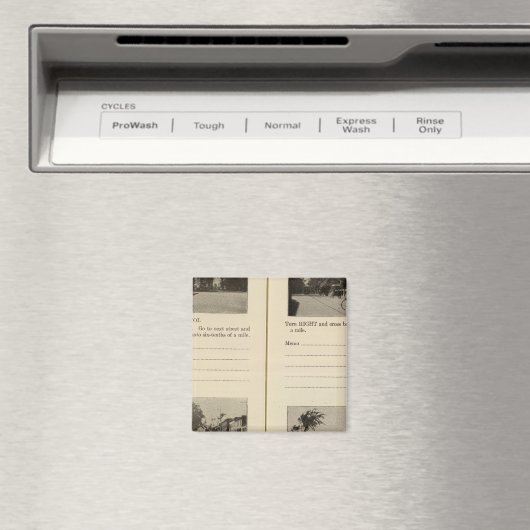 Albany, NY Magneet (Insitu (Vaatwasser))