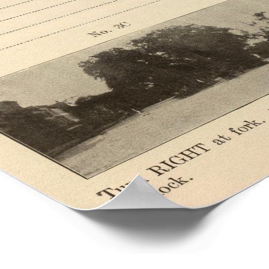 Albany, NY Poster (Hoek)