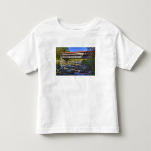 Albany overdekte brug over Swift River, White Kinder Shirts
