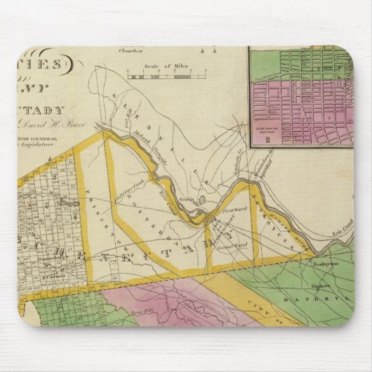 Albany, provincie Schenectady Muismat (Voorkant)