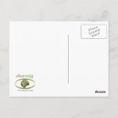 Albany Salmon Holes Briefkaart (Achterkant)