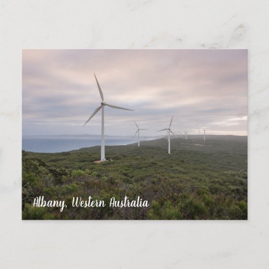 Albany Windfarm, Western Australië, Briefkaart (Voorkant)