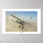 Albatros C.III Poster (Voorkant)