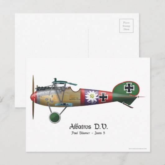 Albatros D.V. ww1 German Fighter Plane Bäumer Briefkaart (Voorkant / Achterkant)