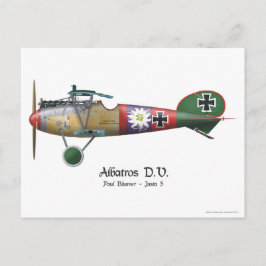 Albatros D.V. ww1 German Fighter Plane Bäumer Briefkaart