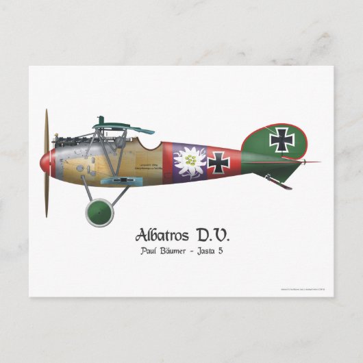 Albatros D.V. ww1 German Fighter Plane Bäumer Briefkaart (Voorkant)