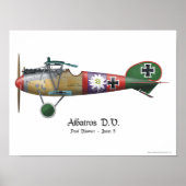 Albatros D.V. ww1 German Fighter Plane Bäumer Poster (Voorkant)