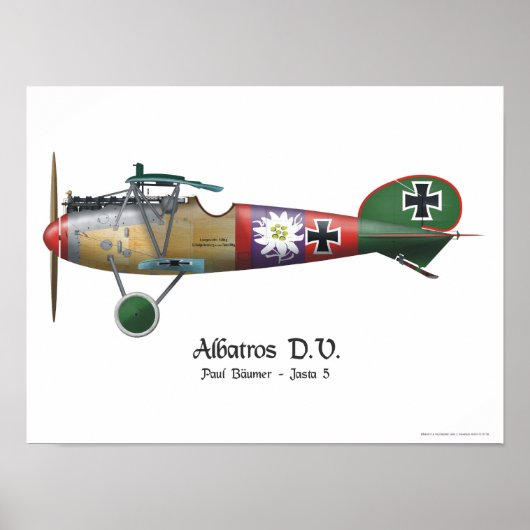 Albatros D.V. ww1 German Fighter Plane Bäumer Poster (Voorkant)
