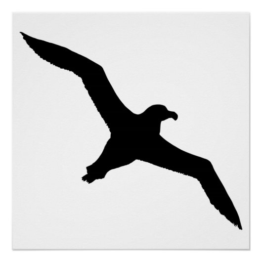 Albatros Perfect Poster (Voorkant)