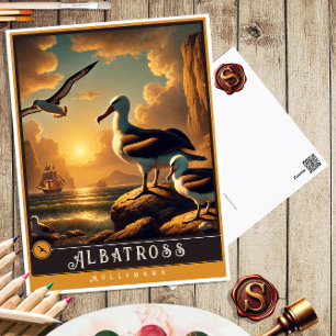 albatros   Schattige familie  Briefkaart