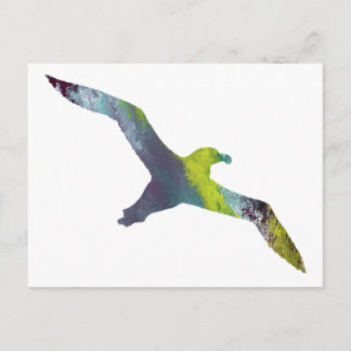 Albatross Animal silhouette Briefkaart
