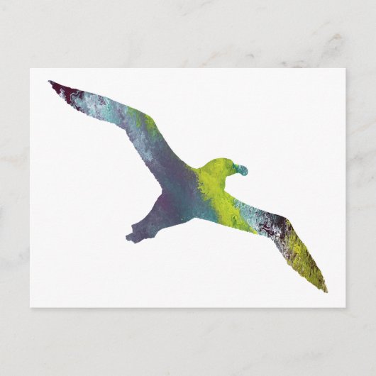 Albatross Animal silhouette Briefkaart (Voorkant)