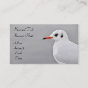 Albatross Business/Profile Card Visitekaartje