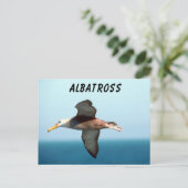 Albatross Flying Briefkaart (Staand voorkant)