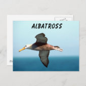 Albatross Flying Briefkaart (Voorkant / Achterkant)