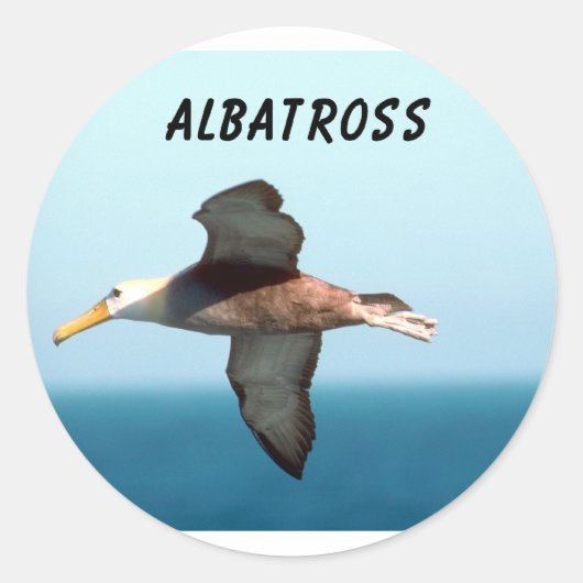 Albatross Flying Ronde Sticker (Voorkant)