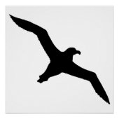 Albatross Perfect Poster (Voorkant)