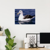 Albatross Poster (Thuiskantoor)