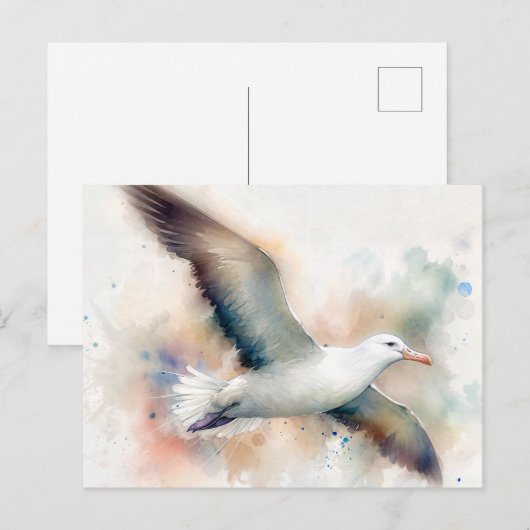 Albatross Waterverf Briefkaart (Voorkant / Achterkant)