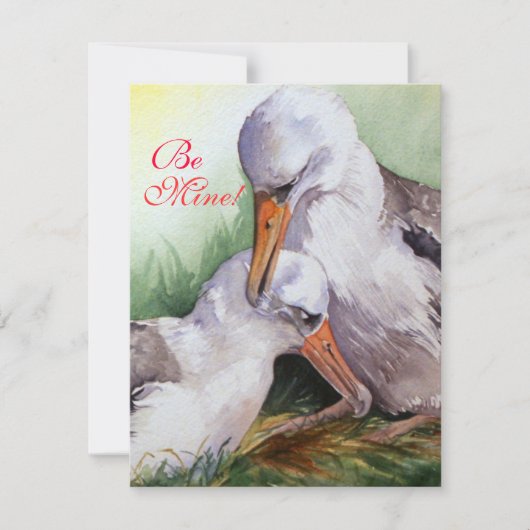 Albatrosses in Love Valentine Day Card Feestdagenkaart (Voorkant)