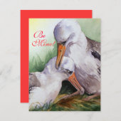 Albatrosses in Love Valentine Day Card Feestdagenkaart (Voorkant / Achterkant)