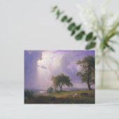 Albert Bierstadt California Spring Cattle Briefkaart (Staand voorkant)