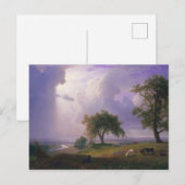 Albert Bierstadt California Spring Cattle Briefkaart (Voorkant / Achterkant)