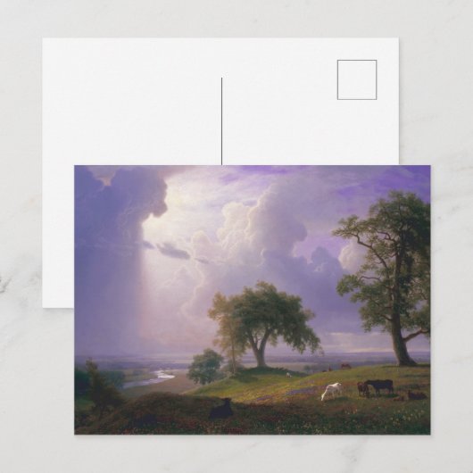 Albert Bierstadt California Spring Cattle Briefkaart (Voorkant / Achterkant)