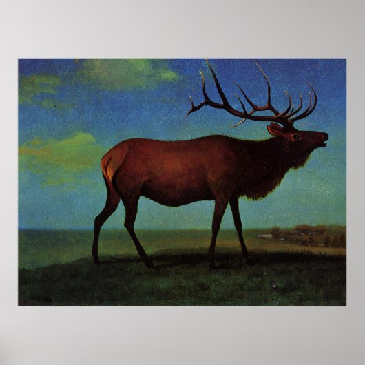Albert Bierstadt, Elk Poster (Voorkant)