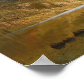 Albert Bierstadt - Indiërs zeggen Gevist Poster (Hoek)