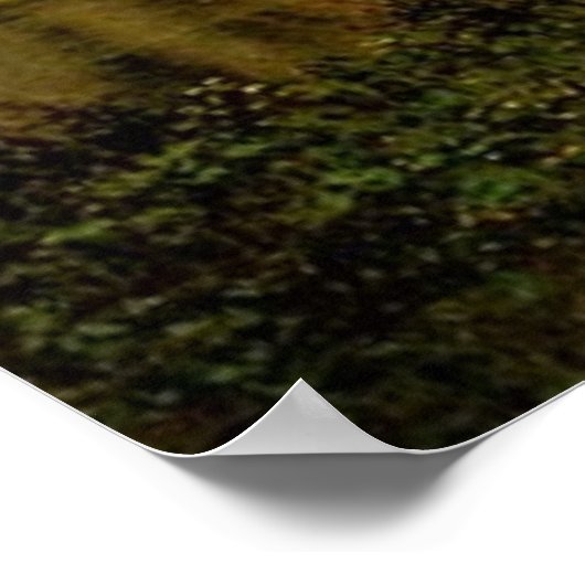 Albert Bierstadt is het Buffalo Trail, 1867 Poster (Hoek)