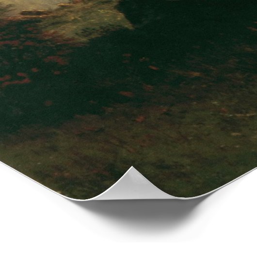 Albert Bierstadt - Landschap Rocky Mountain Poster (Hoek)