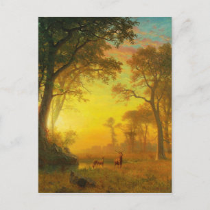 Albert Bierstadt Light in Forest Briefkaart
