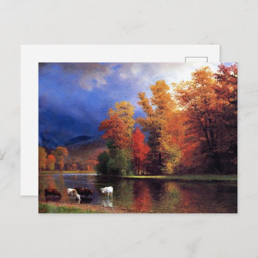 Albert Bierstadt - over de Saco Briefkaart (Voorkant / Achterkant)