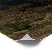 Albert Bierstadt Rocky Mountains, Lander's Peak Poster (Hoek)