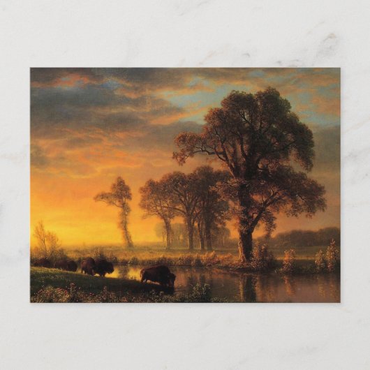 Albert Bierstadt-schilderij, Western Kansas Briefkaart (Voorkant)