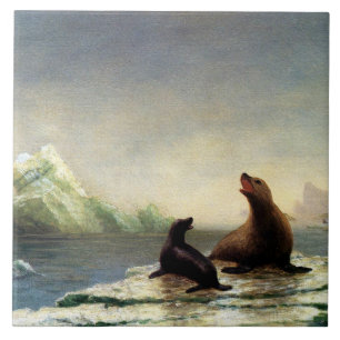 Albert Bierstadt-schilderij, zeehonden Tegeltje
