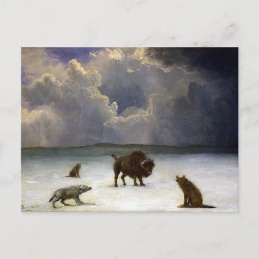 Albert Bierstadt Trapped Briefkaart (Voorkant)
