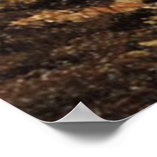 Albert Bierstadt's Lake Tahoe, 1868 Poster (Hoek)