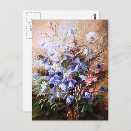 Albert Dürer Lucas: Harebells en Centaury Briefkaart (Voorkant / Achterkant)