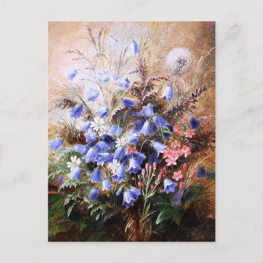 Albert Dürer Lucas: Harebells en Centaury Briefkaart (Voorkant)