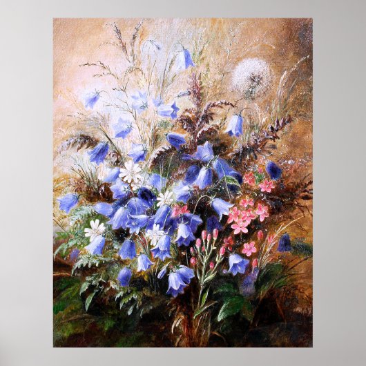 Albert Dürer Lucas: Harebells en Centaury Poster (Voorkant)