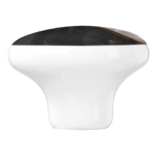 Albert Edelfelt - Portret van Louis Pasteur Keramische Knop (Zijkant)