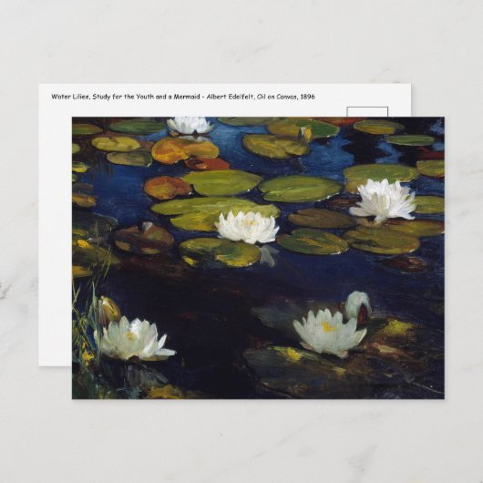 Albert Edelfelt - Water Lilies, Studie Briefkaart (Voorkant / Achterkant)