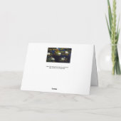 Albert Edelfelt - Water Lilies, Studie Kaart (Achterkant)