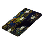 Albert Edelfelt - Water Lilies, Studie Magneet (Linkerzijde)