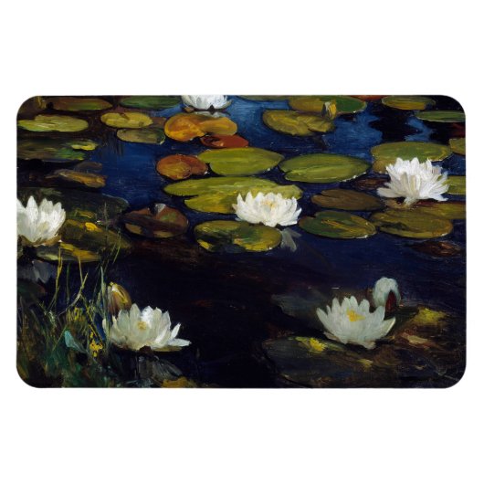 Albert Edelfelt - Water Lilies, Studie Magneet (Horizontaal)